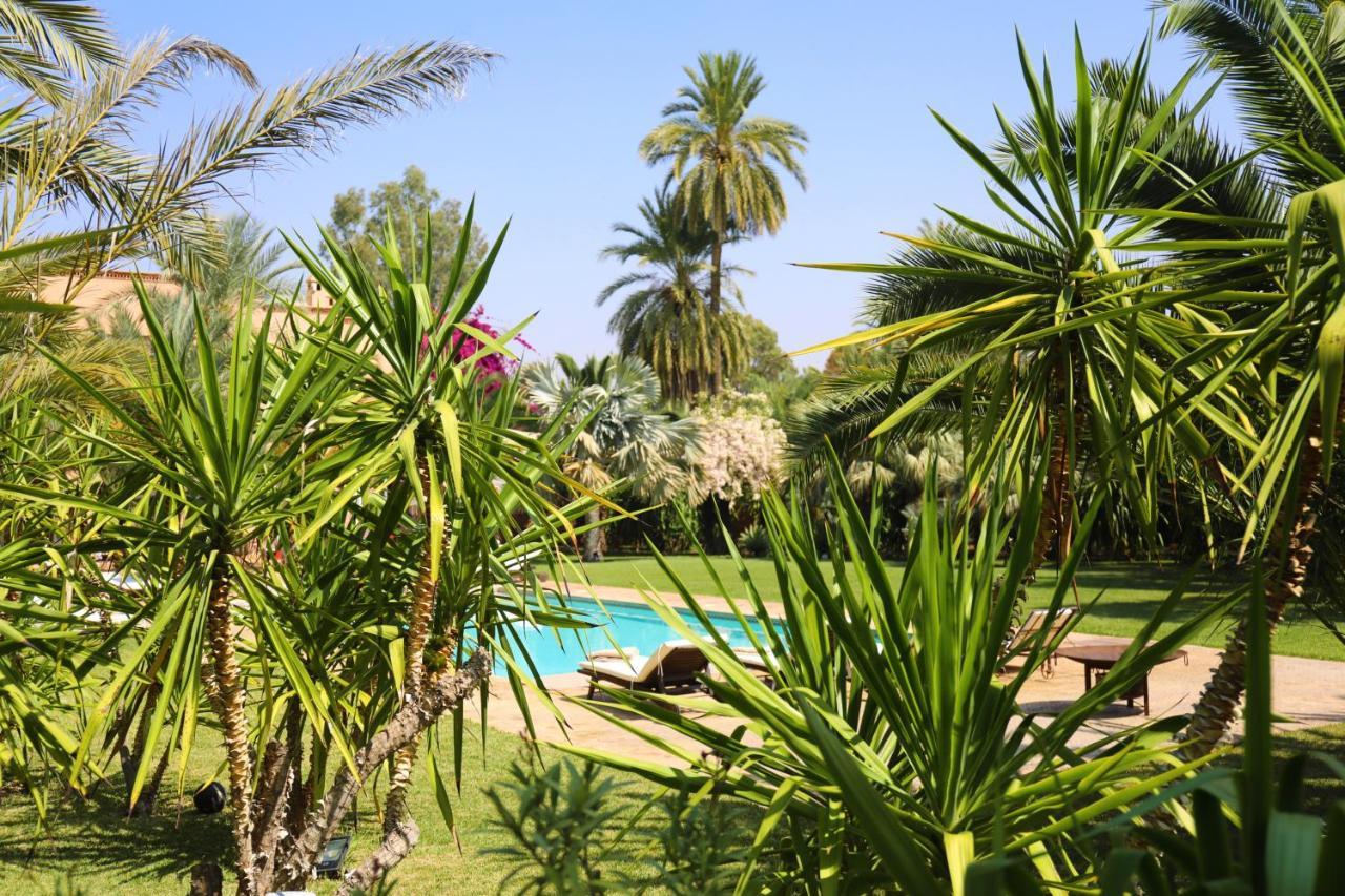 Villa Le Perroquet Bleu Marrakesh Buitenkant foto